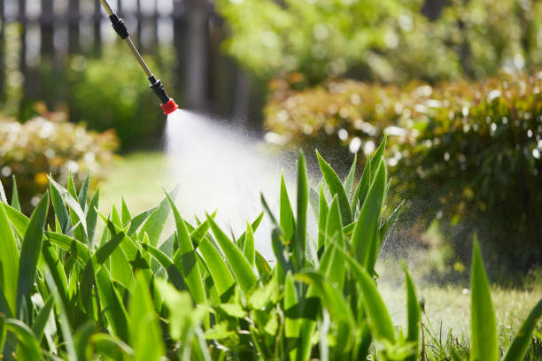 24/7 Emergency Mosquito Control experts in Chittenango, NY